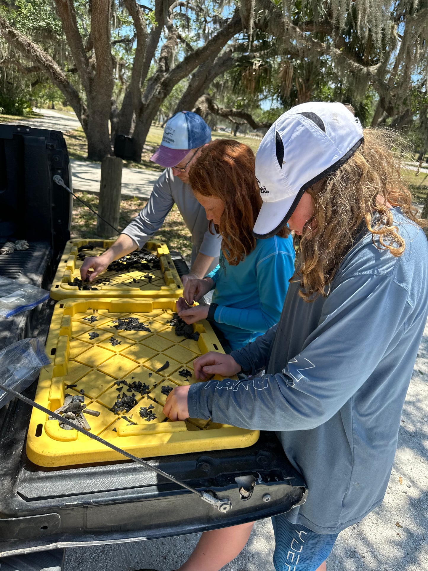 Group sifting through fossil finds