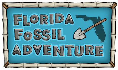 Florida Fossil Adventure